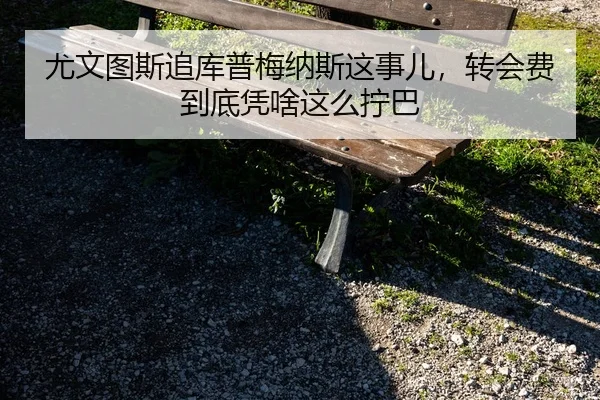 尤文图斯追库普梅纳斯这事儿，转会费到底凭啥这么拧巴